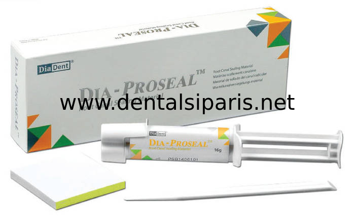 Dia Proseal Rezin Bazlı Kanal Dolgu Patı - 16 gr
