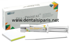 Dia Proseal Rezin Bazlı Kanal Dolgu Patı - 16 gr