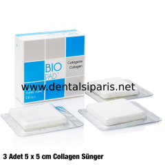 Biopad Collagen Sünger Cone - 5*5 cm - 3 Adet