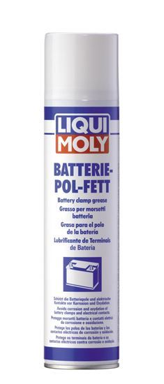 LIQUI MOLY Akü Gres Spreyi 300 ml (3141)