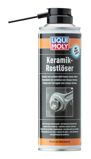 LIQUI MOLY Seramikli Pas Sökücü 300 ml (1641)