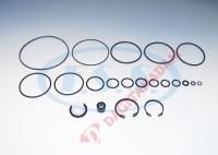 DORSE KONTROL VALFİ TAMİR TAKIMI - 1 487 010 257 - DAF