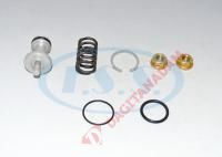 KURUTUCU TAHLİYE TAMİR TAKIMI - K066243K50 - MAN-MERCEDES-VOLVO-IVECO-DAF-RENAULT VI