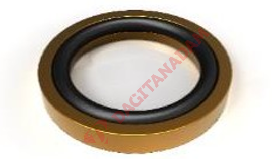 RAKOR ORİNGLİ PUL - M16