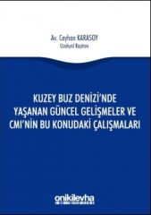 Kuzey Buz Denizi'nde Yaşanan Güncel Gelişmeler ve CMI'nın Bu Konudaki Çalışmaları