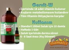 Röhnfried Gervit-W MultiVitamin Takviyesi 30 ML(Bölünmüş)
