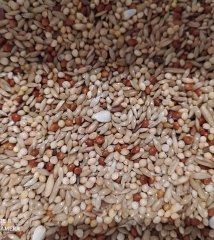 Mamaist Lüks Karışım Muhabbet Kuşu Yemi 1 KG