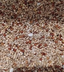 Mamaist Lüks Karışım Muhabbet Kuşu Yemi 500 GR