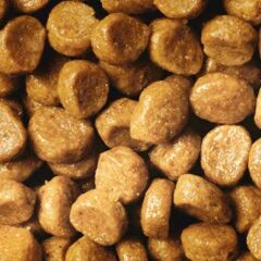 Proplan Kitten Yavru Kedi Maması 500 GR (Bölünmüş)