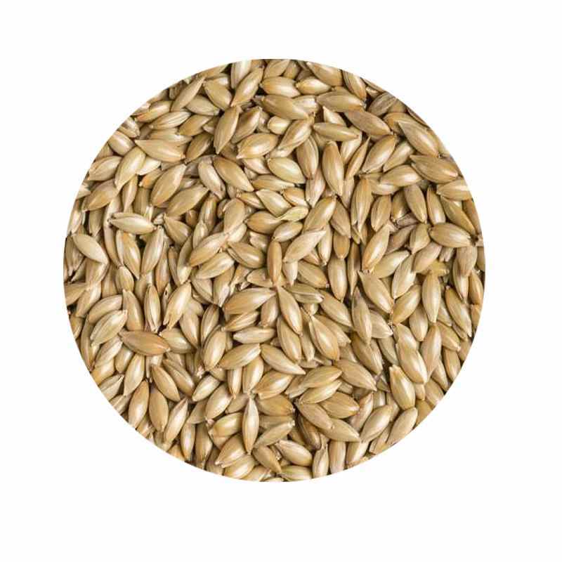 Hobi Sade Kanarya Yemi Aspur 1 KG (Bölünmüş)