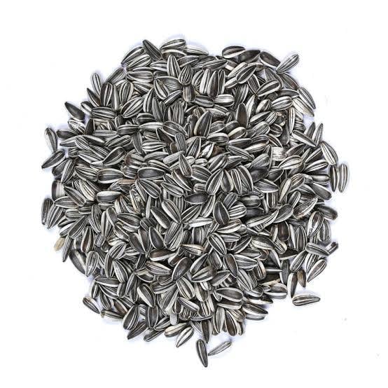 Vivid Bird Alacalı Küçük Çekirdek 1 KG (Bölünmüş)