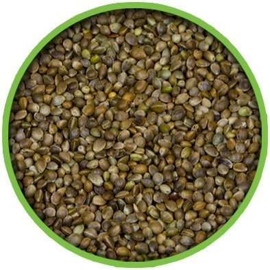 Küçük Taneli Kenevir Tohumu 500 GR (Bölünmüş)