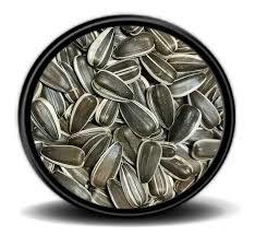 Vivid Bird Dakota Çekirdek 500 Gr (Bölünmüş)