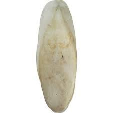 Quik Mürekkep Balığı Kemiği Büyük Boy