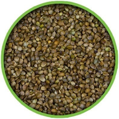 Vivid Bird Küçük Taneli Kenevir Tohumu 1 KG (Bölünmüş)