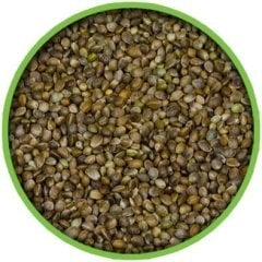 Vivid Bird Küçük Taneli Kenevir Tohumu 1 KG (Bölünmüş)