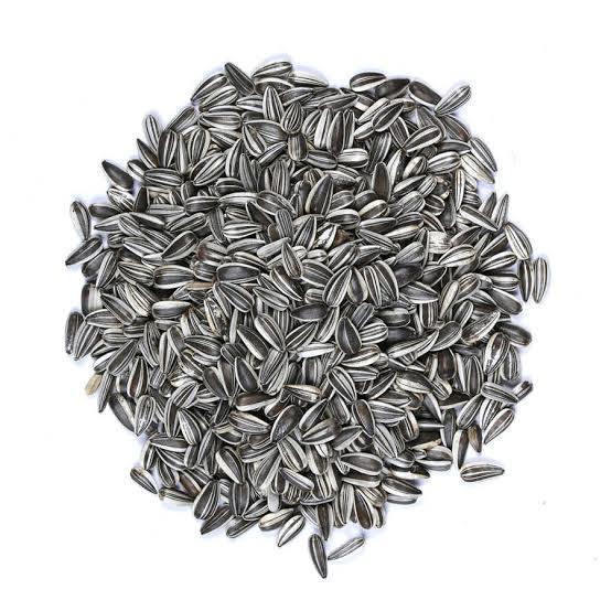 Vivid Bird Alacalı Küçük Çekirdek 500 GR (Bölünmüş)