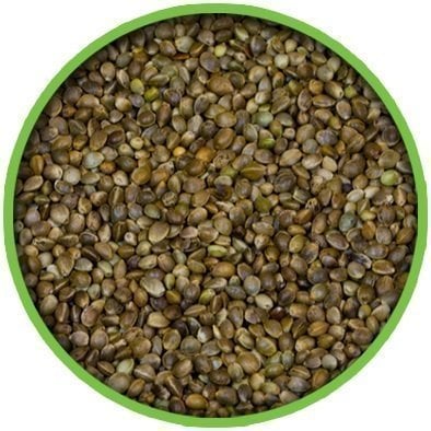 Vivid Bird Küçük Taneli Kenevir Tohumu 250 GR (Bölünmüş)