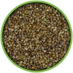 Vivid Bird Küçük Taneli Kenevir Tohumu 250 GR (Bölünmüş)