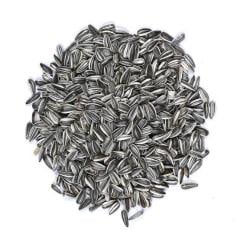 Vivid Bird Alacalı Küçük Çekirdek 250 GR (Bölünmüş)