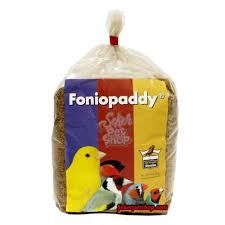 Foniapaddy Tohumu 150 Gr (Bölünmüş)