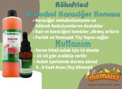 Röhnfried Sedochol Karaciğer Koruma  20 ml