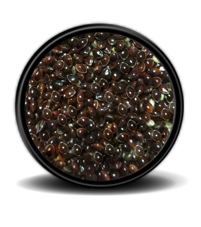 Hobi Siyah Darı 500 Gr