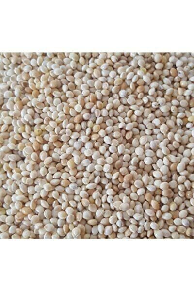 Vivid Ak Darı 500 GR (Bölünmüş)