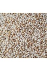 Vivid Ak Darı 1 KG (Bölünmüş)