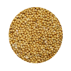 Vivid Sarı Darı 1 KG (Bölünmüş)