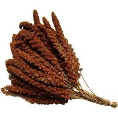 Mamaist Kızıl Daldarı Birinci Sınıf 250 Gr (Bölünmüş)