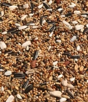 Mamaist Premium Paraket Yemi 5 KG