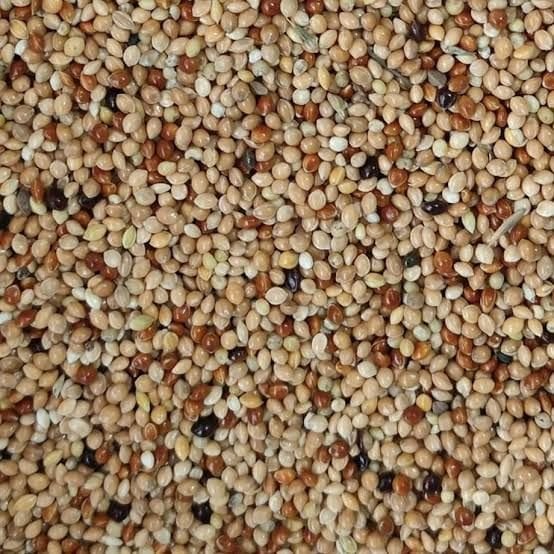 Mamaist Muhabbet Kuşları İçin Diyet Yem 1 KG