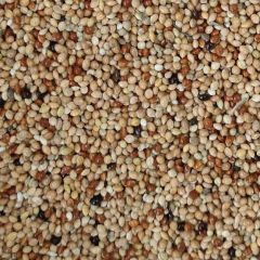 Mamaist Muhabbet Kuşları İçin Diyet Yem 1 KG