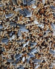 Mamaist Paraket Türleri İçin Diyet Yem 1 KG