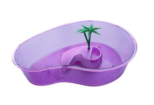 Tisert Küçük Kaplumbağa Bahçesi