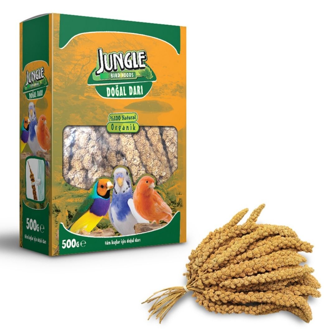 Jungle Doğal Darı 500 gr