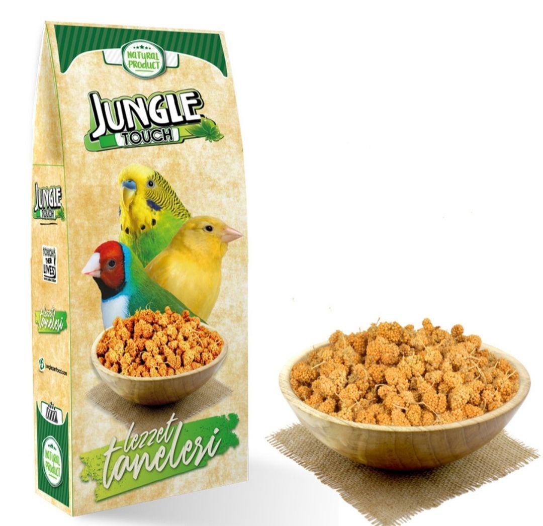 Jungle Touch Lezzet Taneleri 150 gr.