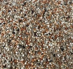 Mamaist Yavru Muhabbet Kuşu Yemi 1 KG