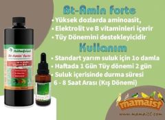 Röhnfried Bt-Amin Forte 100 ML