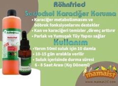 Röhnfried Sedochol Karaciğer Koruma 50 ml