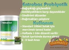 Röhnfried Entrobac Probiyotik Katkısı 100 GR (Bölünmüş)