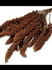 Mamaist Kızıl Daldarı Birinci Sınıf 1 KG