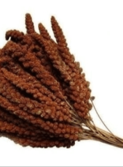 Mamaist Kızıl Daldarı Birinci Sınıf 1 KG