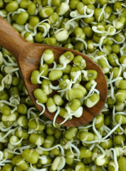 Mamaist Çimlendirmelik Maş Fasülyesi 1kg