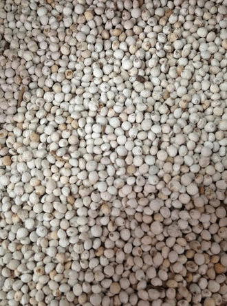 Mamaist Perilla Tohumu 500 GR