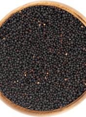 Mamaist Rapiska (Kanola) Tohumu 500 GR