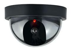 Sahte Dome Kamera Güvenlik Kamerası