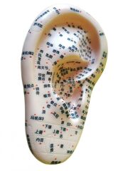 Huramarketing Kulak Maketi Akupunktur Noktası