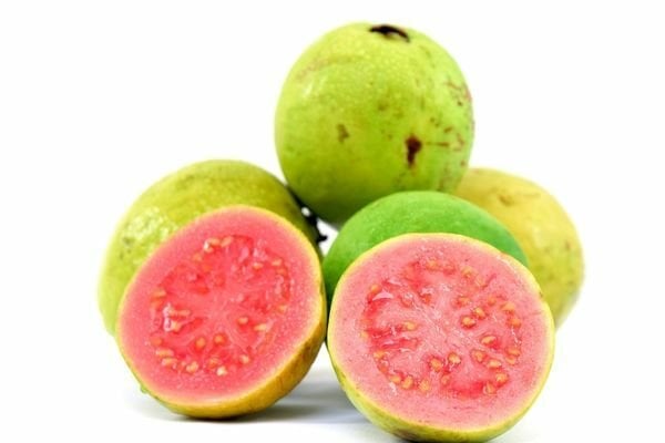 Guava Kurusu 30 Gramlık Paket